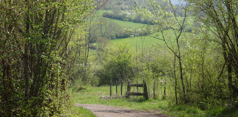 Chemin à travers prés... vue_paysage_alentour_
