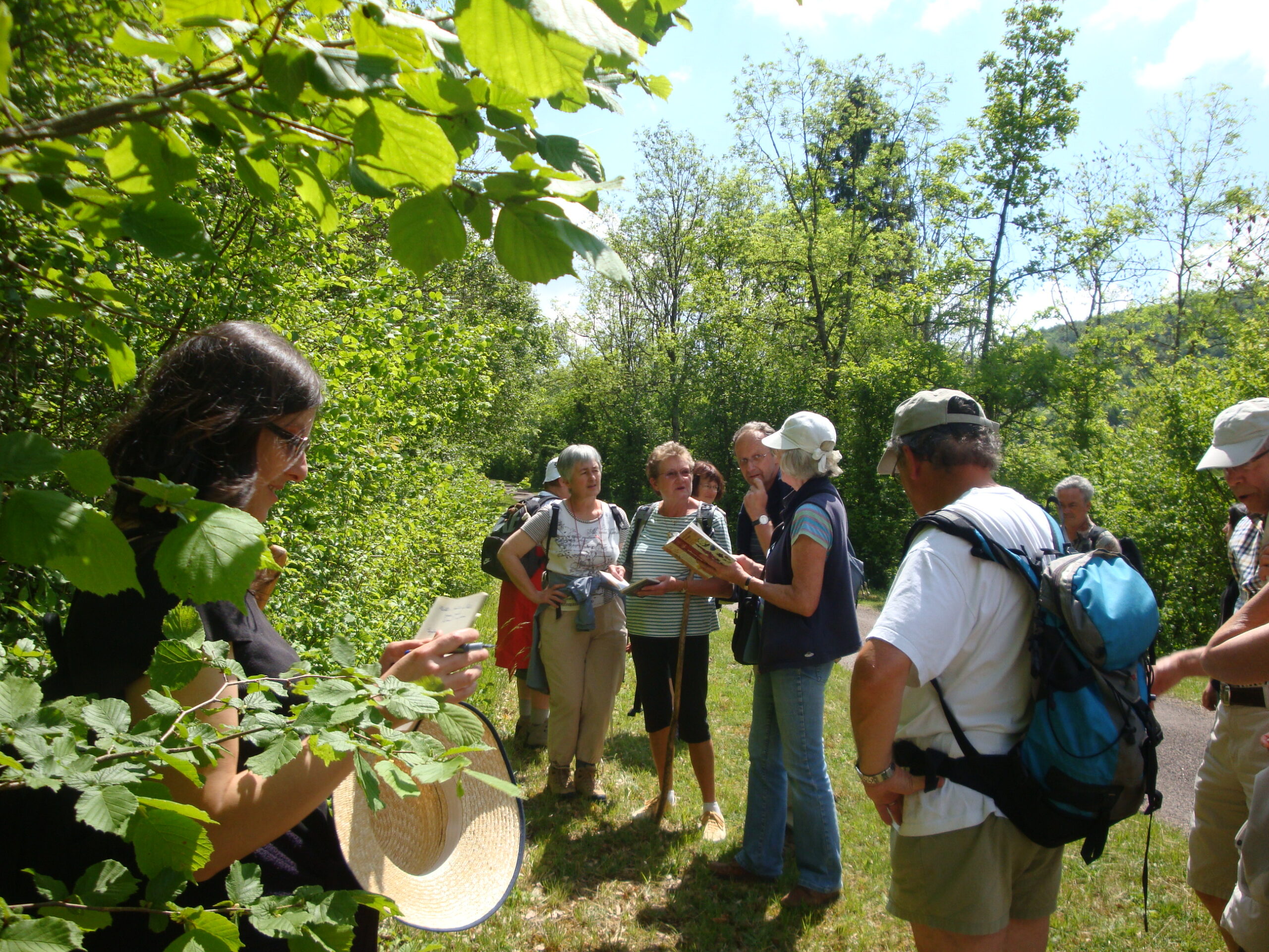 Sur le chemin des sources