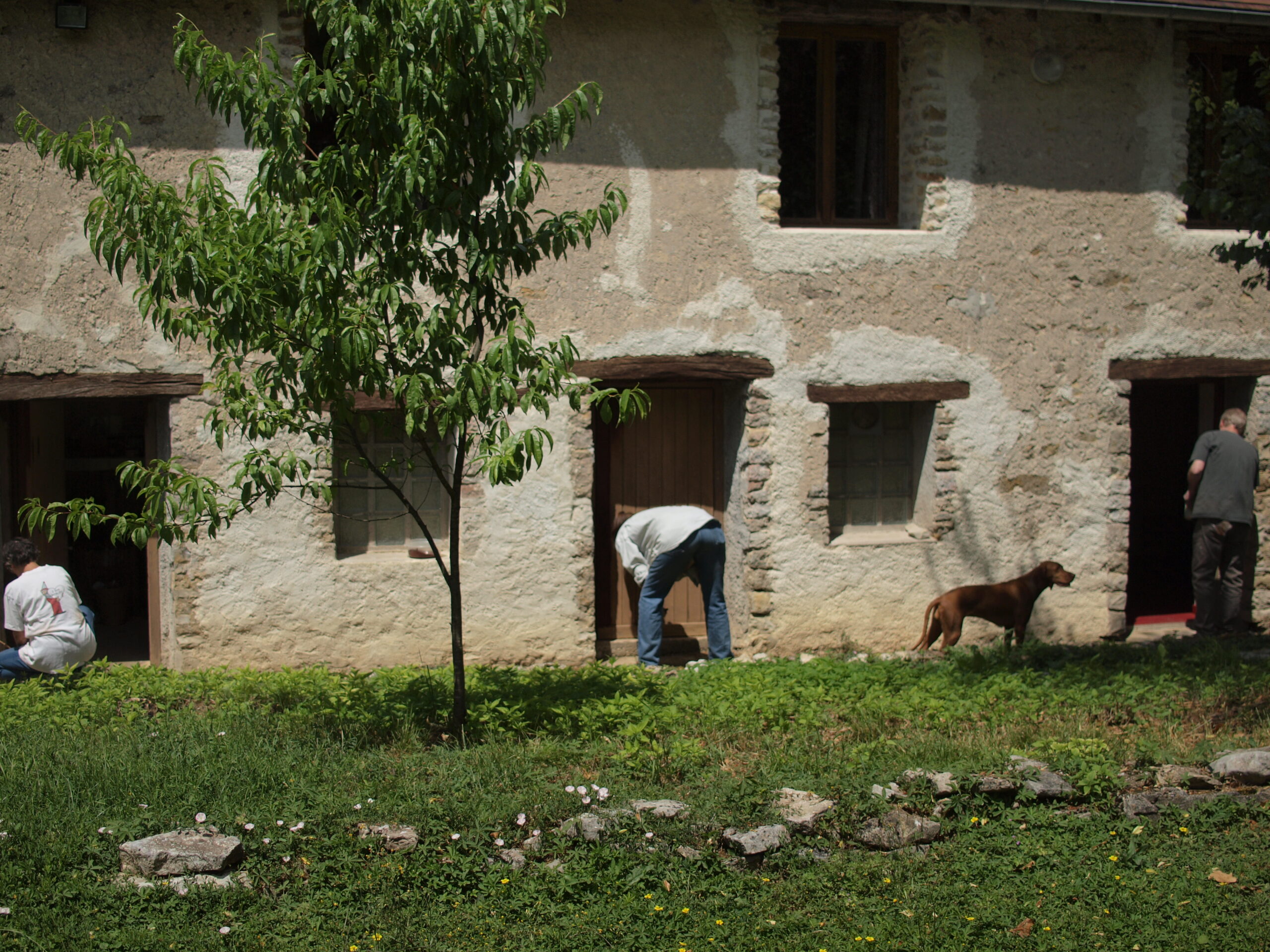 Peinture des portes de la maisonnette