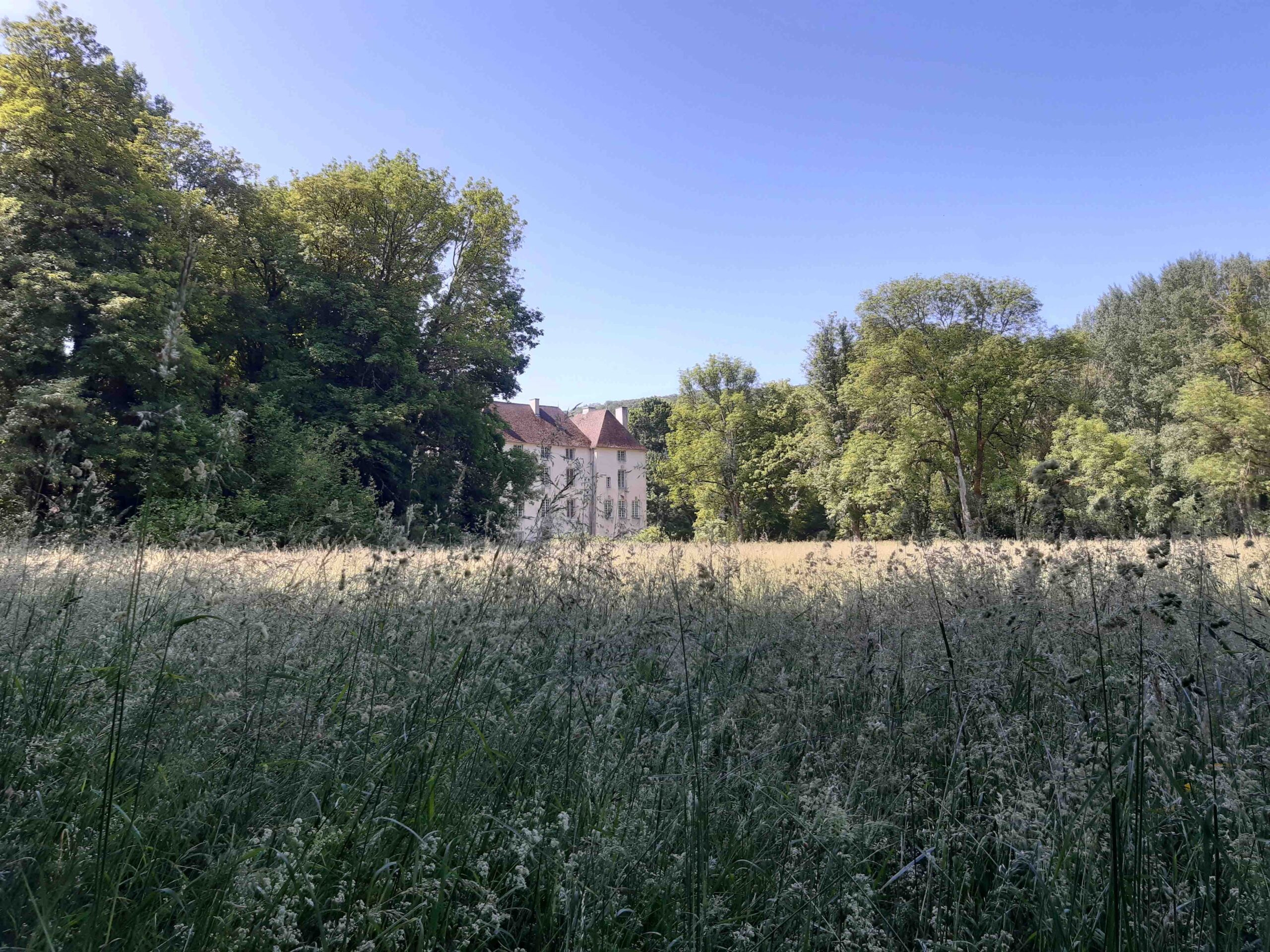 La prairie calcaire, un milieu rare à protéger château-de-lusigny prairie calcaire
